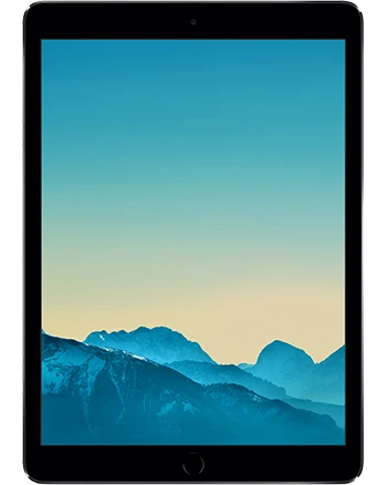 iPad Mini (4th Gen.)