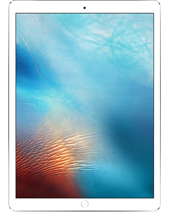 iPad Pro 12.9 inch (2nd Gen.)